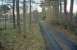 View along the single platform of the second (1868) Advie station, looking south west towards Boat of Garten in 1997.<br><br>[Ewan Crawford 01/02/1997]