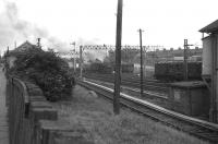 A Black 5 leaves Motherwell on 5 July 1964 with a stopping train for Glasgow Central. <br><br>[John Robin 05/07/1964]