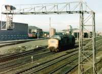 General view north east over the yard at Gateshead MPD in March 1981. The locomotive running past the camera is one of the sheds own class 37 allocation, no 37242. <br><br>[Colin Alexander /03/1981]