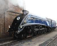 60007 <I>Sir Nigel Gresley</I> is one of the stars of the Great Western Society's <I>'Big Blue Engine Day'</I> at Didcot on 5 April 2014.<br><br>[Peter Todd 05/04/2014]