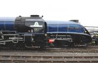 60163 and 60007 side by side at Didcot on 5 April during <I>Big Blue Engine Day</I>.<br><br>[Peter Todd 05/04/2014]