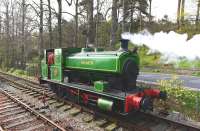 Andrew Barclay 0-6-0 saddle tank <I>Salmon</I> returns to shed on 3 May 2014 after hauling its first revenue earning trains on The Royal Deeside Railway at Milton of Crathes. [See image 46748]<br><br>[John Gray 03/05/2014]