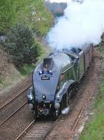 The Inverness - Aberdeen - Edinburgh leg of the <I>Great Britain VII</I> nearing Dysart on Saturday 3 May behind A4 60009 <I>Union of South Africa</I>.<br><br>[Bill Roberton 03/05/2014]