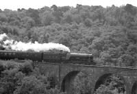 A northbound special crossing Slitrig Viaduct south of Hawick on 25 June 1966. The train is the Warwickshire Railway Society's <I>Aberdonian Railtour</I> with 4472 <I>Flying Scotsman</I> in charge for the leg from Hellifield to Edinburgh Waverley.<br><br>[Bruce McCartney 25/06/1966]