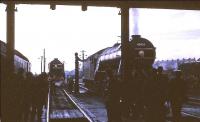 Inside looking out. Scene at Ferryhill shed on 5 November 1966. In the background is A2 Pacific 60532 <I>Blue Peter</I>, while taking water on the right is V2 2-6-2 60836. The V2 had arrived earlier off the BR (Scottish Region) <I>Last V2 Excursion</I> from Edinburgh. [See image 45627]<br><br>[G W Robin 05/11/1966]