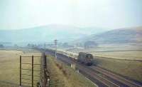 EE Type 1 no D8123 just south of Crawford on 2 April 1965 at the head of an up freight.<br><br>[John Robin 02/04/1965]