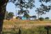 A single flask heads north from Crewe to Sellafield at the Oubeck Loops behind 57009 and 37218. The Type 3 sports the new <I>Class 68</I> livery. It seems this view from beside the Ou Beck is to disappear as the rows of newly planted saplings in the foreground grow.  <br><br>[Mark Bartlett 10/07/2014]