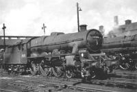 Jubilee 45716 <I>Swiftsure</I>, with Fowler tender, in the shed yard at Polmadie in July 1961. <br><br>[John Robin /07/1961]
