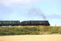 Bulleid <I>West Country</I> Pacific no 34007 <I>Wadebridge</I> with an afternoon train on the Mid-Hants Railway on 23 August.<br><br>[Peter Todd 23/08/2014]