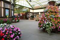 The <I>Friends of Wemyss Bay Station</I> have excelled themselves with their floral displays on the concourse during the summer of 2014.<br><br>[Colin McDonald 27/08/2014]