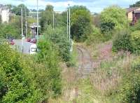 Looking north from King Street, Inverkeithing along the Rosyth Dockyard branch on 26 August 2014, with the track fast disappearing under weeds.  The junction with the main line is by Boreland Road bridge in the left background. [Ref query 6753]<br><br>[Bill Roberton 26/08/2014]