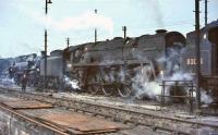 A busy scene in the shed yard at Polmadie in the summer of 1964. Centre stage is Britannia Pacific 70035 <I>Rudyard Kipling</I>, flanked by BR Standard tanks 80086 (left) and 80001. <br><br>[John Robin 13/06/1964]