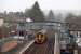 Disbelief plus annoyance is the reaction of some bleary-eyed arrivals at Dunblane on the morning of Sunday 9th March 2014. At close of business the night before, there had been two footbridges linking the platforms, but by dawn, only one remained, and that did not allow exit on the west side of the station. Some were faced with a long walk around... Removal of the council owned footbridge pending construction of a new version with lifts by Network Rail temporarily revealed the southern aspect of the original Victorian footbridge for the first time since the early 1970s. [See image 4210]<br><br>[Mark Dufton 09/03/2014]