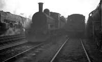 A dull and overcast February day in the shed yard at Heaton in 1961. Snowplough - fitted J21 0-6-0 no 65033 stands amongst the V2s and Pacifics, including home based A1 60142 <I>Edward Fletcher</I> on the left.<br><br>[K A Gray 04/02/1961]