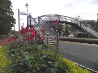 Lobelias and footbridge, complete with new lanterns, at Pitlochry on 9 October.<br><br>[John Yellowlees 09/10/2014]