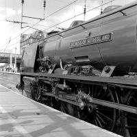 Stanier Coronation Pacific 46238 <I>Duchess of Sutherland</I> is about to draw the ECS of the <I>Cumbrian Mountain Express</I> forward on 6 September before propelling the coaches into one of the sidings on the west side of Carlisle station.		<br><br>[Bill Jamieson 06/09/2014]