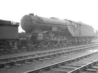 Gresley V2 2-6-2 no 60835 <I>The Green Howard</I>, thought to have been photographed in the shed yard at a hazy Carlisle Canal on 1 July 1961. [Ref query 6533] <br><br>[K A Gray 01/07/1961]