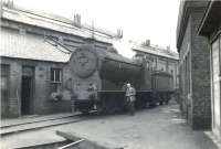 J37 0-6-0 64541 on Helensburgh shed with the shedmaster standing alongside. The photograph was taken on 22 October 1960, planned to be the last Saturday of steam operations at 65H following electrification. However, as we all know, the best laid plans... Helensburgh shed finally closed on 31 October 1961.   <br><br>[G H Robin collection by courtesy of the Mitchell Library, Glasgow 22/10/1960]