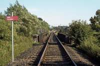 A stiff breeze swishes the foliage near Lenwade station on 16th September 1978. The view is of the rail bridge across the River Wensum, just to the north of the station (which is visible behind the distant crossing gates with a DMU railtour at the platform). Freight trains had to stop at this point to receive instructions from the staff based at the former station. After line closure and the conversion of the trackbed into a footpath and cycle route, the bridge remained as part of Marriot's Way.<br><br>[Mark Dufton 16/09/1978]