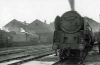 Locomotives in the shed yard at Carlisle Kingmoor on a grey and overcast 17 June 1964. Nearest the camera is locally based BR Standard class 9F 2-10-0 no 92130. <br><br>[John Robin //]