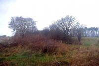 The MDLR trackbed between the hedges looking west from Dunure Road on the south side of Ayr on a murky 26 December 2014. Sustrans is said to be planning to extend the cycle track from here to Heads of Ayr. Best of luck! <br><br>[Colin Miller 26/12/2014]