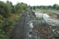 Looking east over the site of the Alloa Brewery and siding. The locomotive shed was to the left, brewery to the right. This is to be the site of the new Alloa station.<br><br>[Ewan Crawford 23/10/2005]