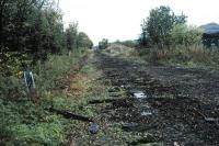 Looking west at Cambus Junction. The track has been lifted and will be replaced. The route straight ahead is for Stirling and that to the right for Menstrie and formerly Alva.<br><br>[Ewan Crawford 23/10/2005]