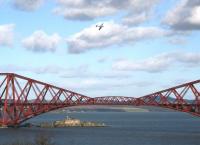Part of the 'Forth Bridge 125' celebrations included an event recalling the <I>'Forth Bridge raid'</I> by the Lufwaffe on 16 October 1939, a few months before the bridge's 50th anniversary. The commemorative event, which took place on 4 March, featured a replica Spitfire flying over the bridge - seen here from South Queensferry. Below the bridge is Inchgarvie, a gun emplacement during WW2, providing protection for the bridge and the nearby Rosyth Naval Base (the target of the 1939 raid). Inchgarvie is said to resemble (from the air) a British Navy Battleship. Please yourself.<br><br>[John Furnevel 04/03/2015]