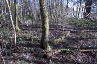 Still partly visible on 4th March 2015 in the woodland which has grown up on the site of the east end of Aberfoyle station, the circle of concrete marks the location of the old turntable. [See image 20597]<br><br>[Colin McDonald 04/03/2015]