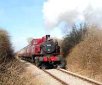 Polish TKH 0-6-0T No 3135 <I>Spartan</I> in action on 7 March 2015 after leaving Blunsdon.<br><br>[Peter Todd 07/03/2015]