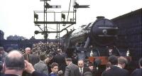 A platform and trackside scrum well underway at Dundee Tay Bridge station on 16 May 1964 following the arrival of 4472 <I>Flying Scotsman</I> from Aberdeen. The A3 was returning to Edinburgh with the Queen's College Railway & Transport Society <I>Flying Scotsman Rail Tour</I>. [See image 49458]<br><br>[John Robin 16/05/1964]