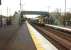 A passenger at Stratford-on-Avon Parkway runs for the 1656 to Stourbridge Junction, formed by 172219, on 28 March 2015. This recently opened station has long platforms, a large car park, frequent buses to the town centre and new housing nearby.<br><br>[Ken Strachan 28/03/2015]