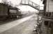 A freight train fails to turn the head of a young JR as it passes north through Strichen station towards Fraserburgh on 20 May 1949. The locomotive is ex-GNSR D40 4-4-0 no 62261. <br><br>[G H Robin collection by courtesy of the Mitchell Library, Glasgow 20/05/1949]