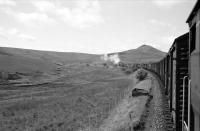 A1 Class No. 60118 Archibald Sturrock at the head of the 8.18 pm Millerhill to Kingmoor Class 'C' freight climbing up Whitrope bank on 14th August 1963, with the distinctive shape of one of the Maiden Paps (1,673 ft and 1,640 ft) in the background. This photograph is used on the rear cover of David Spaven's book <i>Waverley Route: The battle for the Borders Railway</i>. [See image 51040] <a target=top href=http://www.railbrit.co.uk/page/battlefortheborders>See article!</a><br><br>[Stuart Sellar 14/08/1963]