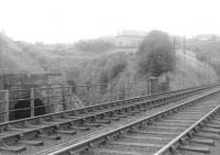 A view of the twin tunnels at Cartsburn in the summer of 1963, looking west from the GSWR overbridge carrying the route to Princes Pier. [See image 9558]<br><br>[John Robin 13/08/1963]