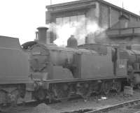 Drummond M7 0-4-4T 30048 on Exmouth Junction shed in the summer of 1961. <br><br>[K A Gray 18/08/1961]