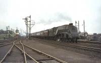 Gresley A4 Pacific 60006 <I>Sir Ralph Wedgewood</I> takes the 1.30pm Aberdeen - Glasgow Buchanan Street south past Ferryhill Junction on 16 May 1964, shortly after its arrival at 61B. [See image 22228]<br><br>[John Robin 16/05/1964]