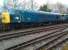 Peak 46035 poses for the camera at Crewe Heritage Centre on 3rd April 2015. The class 08 shunter behind it also looks good. It's a sign of the times that this photograph was taken from a Tesco car park.<br><br>[Ken Strachan 03/04/2015]