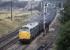 Tinsley based Brush Type 2 No. 5558 passes Foxlow Junction on the Midland 'Old Road' with 8V63, the 1115 Tinsley to Severn Tunnel Junction working. Photographed on 20th September 1971, the class 31 would migrate north to Thornaby within a few weeks.<br><br>[Bill Jamieson 20/09/1971]