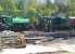 Steam ('Birkenhead') meets diesel ('Louise') in the former mine yard at Elsecar on 4 May 2015. [see image 51231] Mercifully, there was no locomotive called Thelma - nor any 'Thunderbirds'.<br><br>[Ken Strachan 04/05/2015]