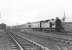 N2 0-6-2T 69565 pulls away from Clydebank East on 18 April 1957 with a train for Springburn. Clydebank East station closed in September 1959.<br><br>[G H Robin collection by courtesy of the Mitchell Library, Glasgow 18/04/1957]