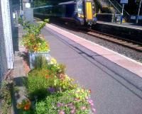 Colourful platform display at Lochwinnoch, photographed on 14 July 2015.<br><br>[John Yellowlees 14/07/2015]