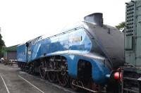 A4 Pacific 4464 <I>Bittern</I> stabled on Ropley Shed in July 2015.<br><br>[Peter Todd 19/07/2015]