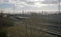 Since removal of the bing at the north end of Mossend Yard it has become much harder to get an overview of the yard. This was my attempt in 2001. The Euroterminal is on the left.<br><br>[Ewan Crawford //2001]