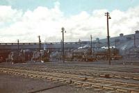 General view over the shed yard at Polmadie in July 1961.<br><br>[John Robin /07/1961]