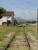 Looking west from Route de Vives level crossing along the rarely used but still operational section of line, after Le Boulou west yard electrified headshunt, towards St-Jean-Pla-de-Cort yard. A stabling siding is at each side of the through line, that is extant to Ceret but mothballed from some 500 metres beyond the far end of the yard, with a rake of piggyback wagons stabled on each siding, and a rake of flat wagons stabled on the through line after the yard. [See image 52933] for view in opposite direction <br><br>[David Pesterfield 05/08/2015]