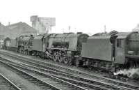Locomotive lineup at Kingmoor shed on 24 June 1962. In the centre is 46223 <I>Princess Alice</I>.   <br><br>[John Robin 24/06/1962]
