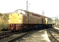 D319 and D1914 photographed at Crewe on a Sunday afternoon in the autumn of 1969.<br><br>[John Furnevel 07/09/1969]