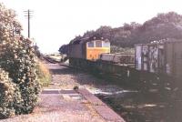 An unidentified class 25 taking the Cambrian Coast pick up freight north through Llwyngwril station in the summer 1978. [Ref query 2995]<br><br>[Mark Bartlett //1978]