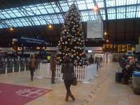 It's that time of year again ... the tree at Glasgow Queen Street.<br><br>[John Yellowlees 26/11/2015]